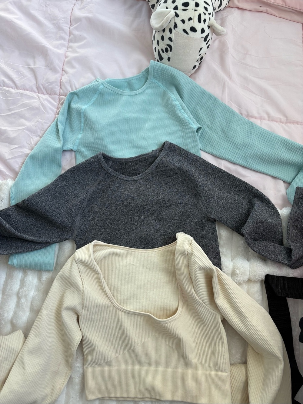 Women’s Ribbed Crewneck Sweater - Light Blue, Charcoal, Cream